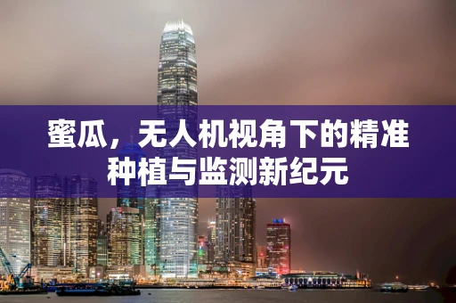 蜜瓜，无人机视角下的精准种植与监测新纪元