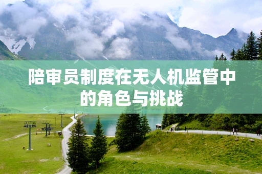 陪审员制度在无人机监管中的角色与挑战