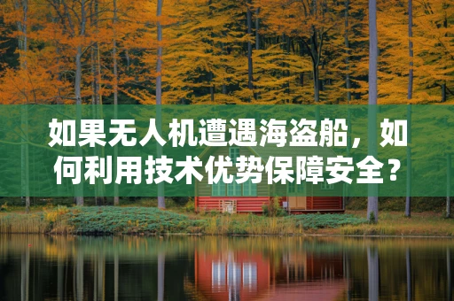 如果无人机遭遇海盗船，如何利用技术优势保障安全？