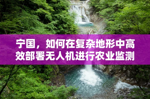 宁国，如何在复杂地形中高效部署无人机进行农业监测？