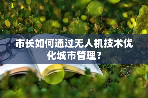 市长如何通过无人机技术优化城市管理？