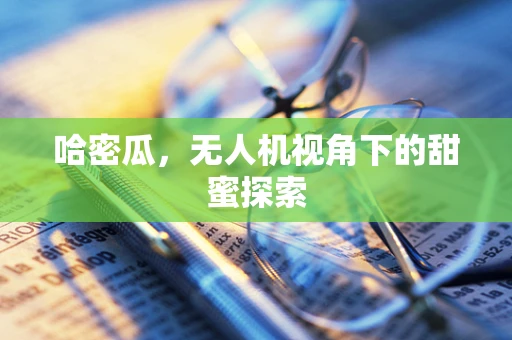 哈密瓜，无人机视角下的甜蜜探索