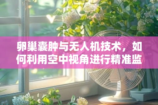卵巢囊肿与无人机技术，如何利用空中视角进行精准监测？