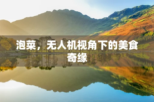 泡菜，无人机视角下的美食奇缘