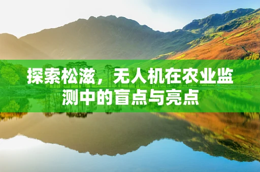 探索松滋，无人机在农业监测中的盲点与亮点