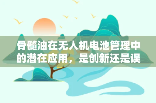 骨髓油在无人机电池管理中的潜在应用，是创新还是误区？