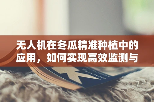 无人机在冬瓜精准种植中的应用，如何实现高效监测与智能管理？