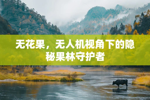 无花果，无人机视角下的隐秘果林守护者