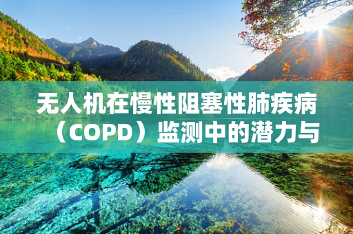无人机在慢性阻塞性肺疾病（COPD）监测中的潜力与挑战