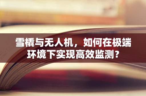 雪橇与无人机，如何在极端环境下实现高效监测？
