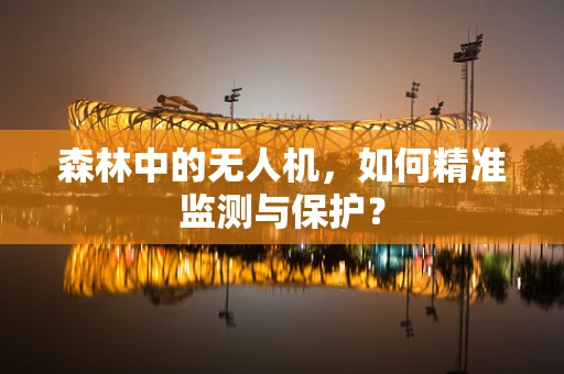 森林中的无人机，如何精准监测与保护？
