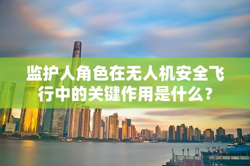 监护人角色在无人机安全飞行中的关键作用是什么？
