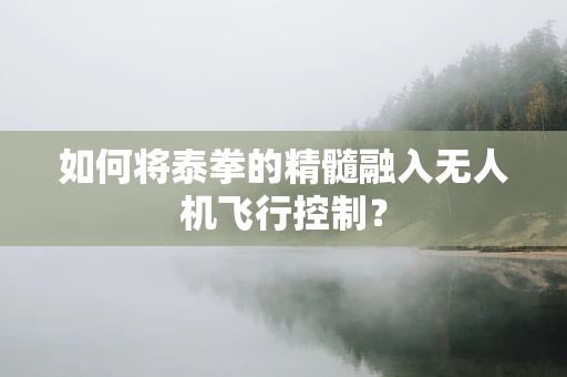 如何将泰拳的精髓融入无人机飞行控制？