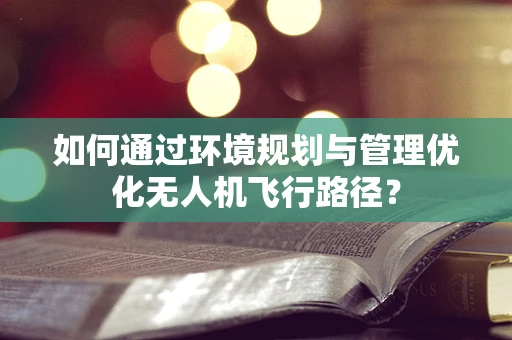 如何通过环境规划与管理优化无人机飞行路径？