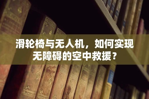 滑轮椅与无人机，如何实现无障碍的空中救援？