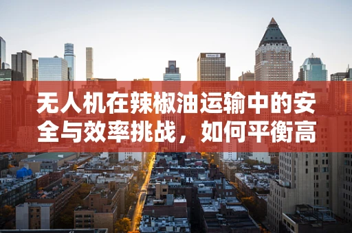 无人机在辣椒油运输中的安全与效率挑战，如何平衡高效与安全？