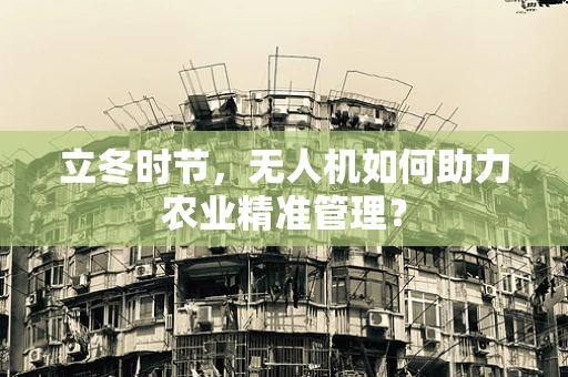 立冬时节，无人机如何助力农业精准管理？