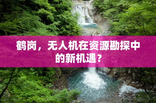 鹤岗，无人机在资源勘探中的新机遇？