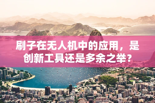刷子在无人机中的应用，是创新工具还是多余之举？