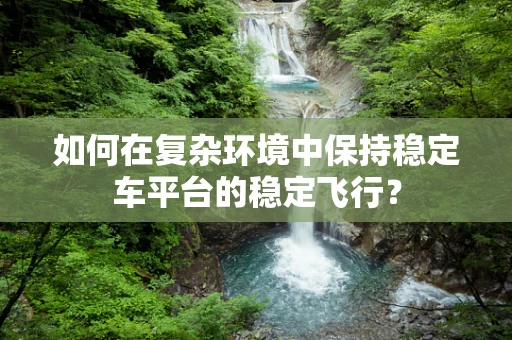 如何在复杂环境中保持稳定车平台的稳定飞行？