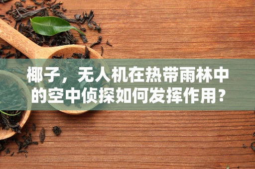 椰子，无人机在热带雨林中的空中侦探如何发挥作用？