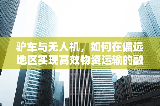 驴车与无人机，如何在偏远地区实现高效物资运输的融合创新？