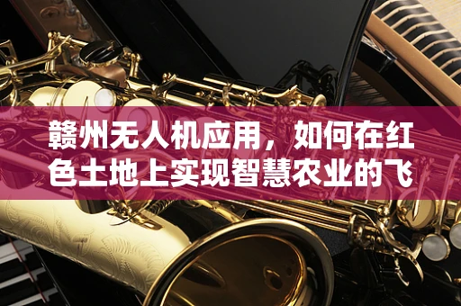 赣州无人机应用，如何在红色土地上实现智慧农业的飞跃？
