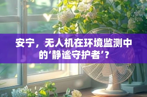 安宁，无人机在环境监测中的‘静谧守护者’？