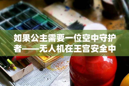 如果公主需要一位空中守护者——无人机在王宫安全中的应用探索