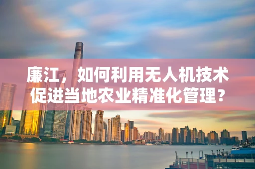 廉江，如何利用无人机技术促进当地农业精准化管理？