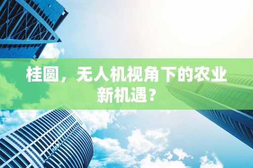 桂圆，无人机视角下的农业新机遇？