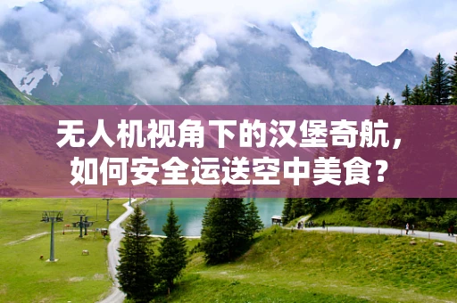 无人机视角下的汉堡奇航，如何安全运送空中美食？