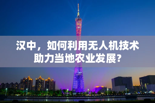 汉中，如何利用无人机技术助力当地农业发展？