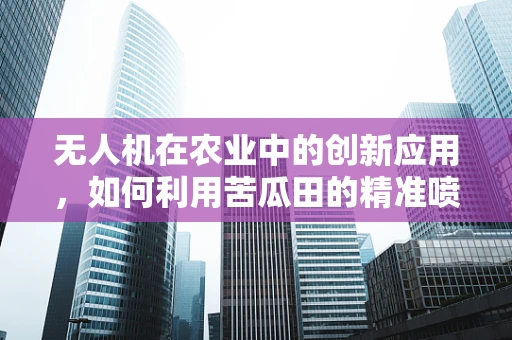 无人机在农业中的创新应用，如何利用苦瓜田的精准喷洒技术提升产量？