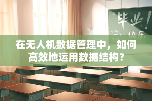 在无人机数据管理中，如何高效地运用数据结构？