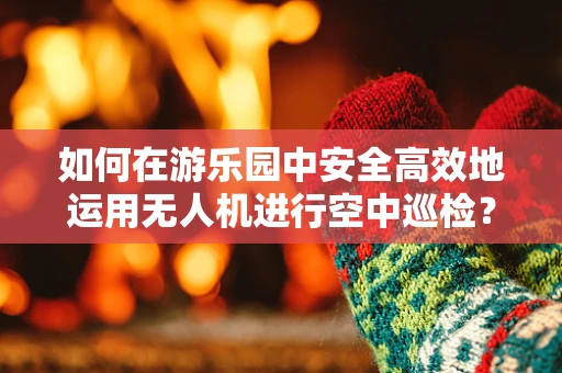 如何在游乐园中安全高效地运用无人机进行空中巡检？