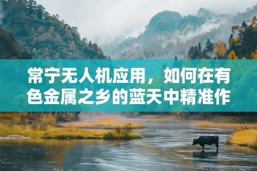 常宁无人机应用，如何在有色金属之乡的蓝天中精准作业？
