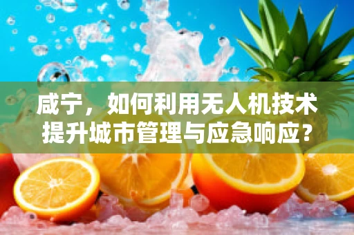 咸宁，如何利用无人机技术提升城市管理与应急响应？