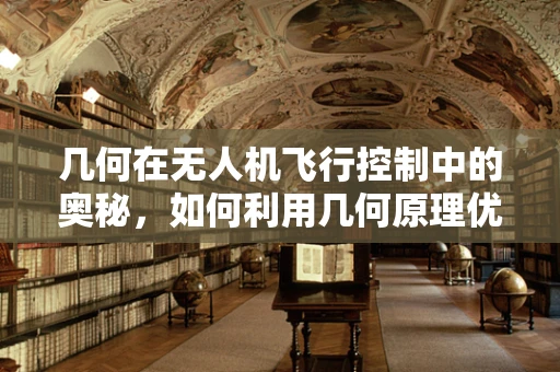 几何在无人机飞行控制中的奥秘，如何利用几何原理优化航线规划？