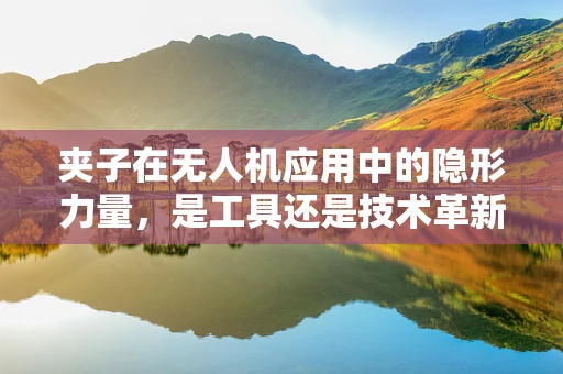 夹子在无人机应用中的隐形力量，是工具还是技术革新？