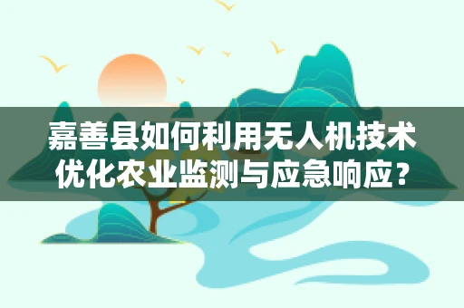 嘉善县如何利用无人机技术优化农业监测与应急响应？