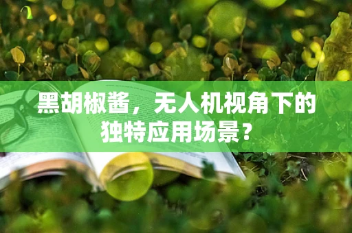 黑胡椒酱，无人机视角下的独特应用场景？
