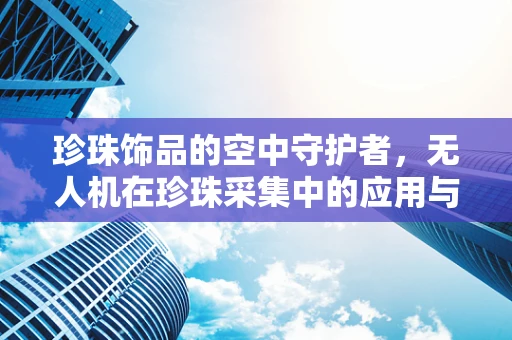 珍珠饰品的空中守护者，无人机在珍珠采集中的应用与挑战