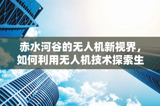 赤水河谷的无人机新视界，如何利用无人机技术探索生态保护与旅游发展？