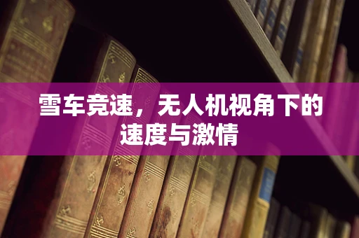雪车竞速，无人机视角下的速度与激情