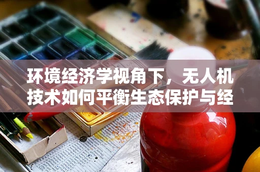 环境经济学视角下，无人机技术如何平衡生态保护与经济发展？