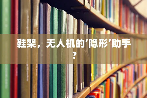 鞋架，无人机的‘隐形’助手？