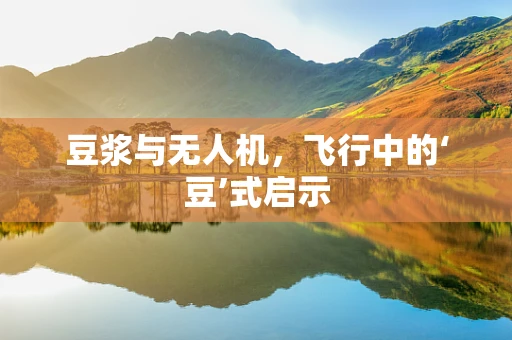 豆浆与无人机，飞行中的‘豆’式启示