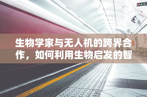 生物学家与无人机的跨界合作，如何利用生物启发的智能算法优化无人机飞行？