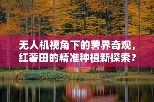 无人机视角下的薯界奇观，红薯田的精准种植新探索？